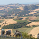 Il gregge e la valle del Cesano